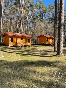 a couple of cabins in the woods at Domki i Pole Namiotowe Pod Sosnami in Olsztyn