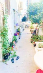 Two rooms apartment with a yard near the beach