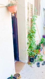 Two rooms apartment with a yard near the beach