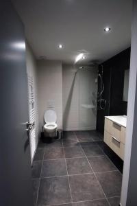 La salle de bains est pourvue de toilettes et d'un lavabo. dans l'établissement L'Aurore, à Gérardmer