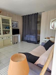 a living room with a couch and a tv at Mandelieu la Napoule in Mandelieu-La Napoule