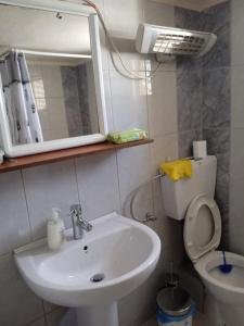 a bathroom with a sink and a toilet and a mirror at Πουτουρίδου Αλεξάνδρα in Paralia Katerinis