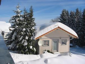 a small house covered in snow next to a tree at Holzhaus in Hauzenberg