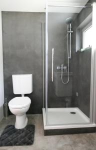 a bathroom with a shower with a toilet and a shower at Villa Sorgenfrei in Reutte