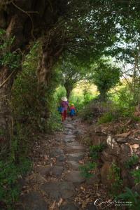 dos personas caminando por un camino con sombrillas en Tammy homestay- Ganh Da Dia, en Tuy An