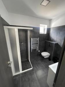 a bathroom with a shower and a toilet at MG Apartments Štúrovo in Štúrovo