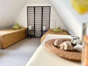 einem Hund, der in einer Schüssel auf einem Tisch in einem Zimmer schläft in der Unterkunft Seeadler Wohnung in Diedrichshagen