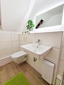uma casa de banho com um lavatório e um WC em Apartment Dingworthstraße em Hildesheim