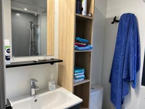 Koupelna v ubytování Mobil Home Tout Confort - 6 pers - 3 ch - 44m2 et jardin - Siblu Les Charmettes