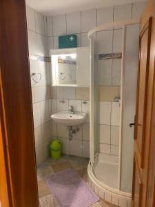 un piccolo bagno con doccia e lavandino di Sunset Apartment a Umag (Umago)