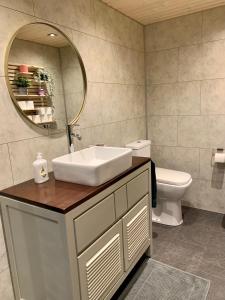 La salle de bains est pourvue d'un lavabo, d'un miroir et de toilettes. dans l'établissement Het Zenhuisje, à Lanaken