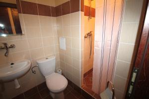 een badkamer met een toilet en een wastafel bij Hotelový dům Areál in Ostrava