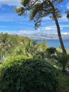 a view of the ocean from behind a bush at Villa SARA in Postira +21 photos