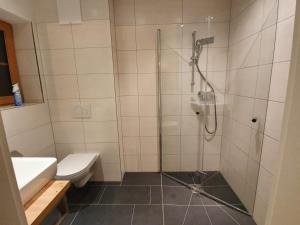 a bathroom with a shower with a toilet and a sink at Planaiblick-Lodge Schladming in Schladming