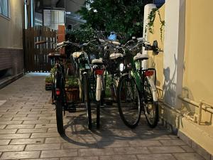 在雷克斯酒店内部或周边骑自行车