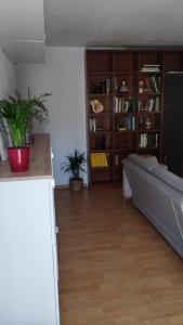 sala de estar con sofá y estante para libros en Casa rural El olivo, en Puigmoreno