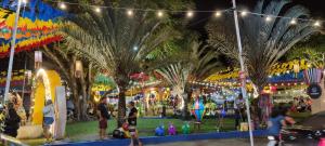 - un carnaval avec des palmiers dans un parc la nuit dans l'établissement APARTAMENTO BANANEIRAS - SONHOS DA SERRA BLOCO E, à Bananeiras