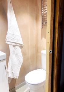 a bathroom with a toilet and a towel at Garden Studio Annex w/free parking in Hemel Hempstead