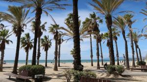 a beach with palm trees and benches and the ocean at SOLIMAR 10 SALOU Solo FAMILIAS con Parking y piscina in Salou