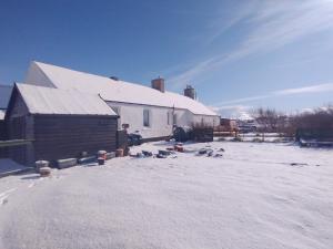 grupa ptaków siedzących na śniegu obok budynku w obiekcie Snowberry Cottage w mieście Borve