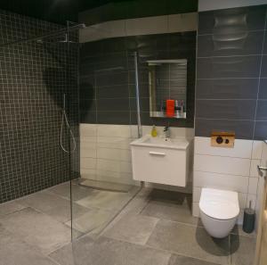 a bathroom with a shower and a toilet and a sink at Claron Lodge in West Wittering