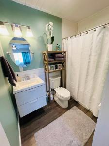 W łazience znajduje się toaleta, umywalka i lustro. w obiekcie Coastal Chic Suite with Kitchenette and Private Entrance w mieście Saint Petersburg