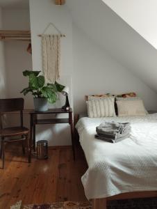 Un dormitorio con una cama y una mesa con una planta en Terra Natangia, en Górowo Iławeckie