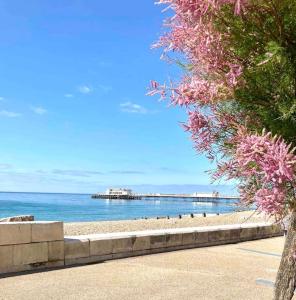 a view of the ocean with a pier in the distance at Lovely Annexe by the Beach, in Central Worthing. in Broadwater