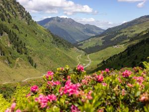 Paesaggio naturale nelle vicinanze dell'appartamento