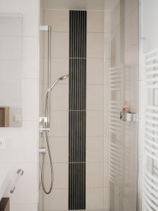 W łazience znajduje się prysznic ze szklanymi drzwiami. w obiekcie Appartement Meyer-Ernzen w mieście Echternach