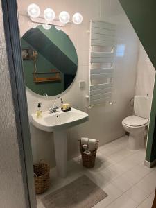 bagno con lavandino, specchio e servizi igienici di Chambres d'hôtes Marylou a Valensole