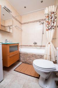 a bathroom with a toilet and a bath tub at ZeusPlace House Marousso in Litochoro