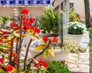 Um jardim no exterior de 5 elementi