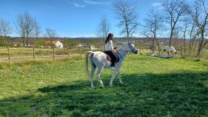 a woman riding a white horse in a field at Quinta da Carreirinha in Vila Franca das Naves +49 photos