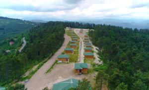 una vista aérea de un grupo de cabañas en un bosque en May Villas, en Ordu