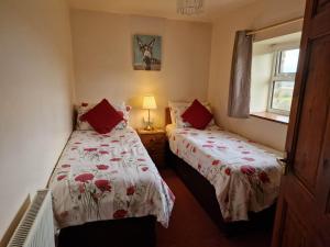 a bedroom with two beds and a window at Ddol Cottage Traditional Coastal cottage nr Llangrannog & New Quay with Donkeys in Llandysul