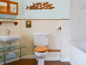 a bathroom with a toilet and a sink at The Headmasters Cottage in South Hill