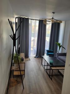 a living room with a couch and a table at Les oursins-appartement 3pièces, 4 couchages et parking gratuit in Metz