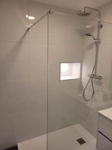 a shower with a glass door in a bathroom at Les oursins-appartement 3pièces, 4 couchages et parking gratuit in Metz