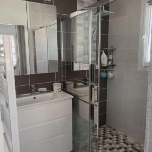 ein Bad mit einer Dusche, einem Waschbecken und einem Spiegel in der Unterkunft Paisible P2 pour 4 voyageurs in Saint-Gilles