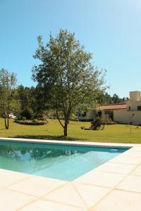 - une piscine dans une cour avec un arbre dans l'établissement Posada Sausalito, à Santa Rosa de Calamuchita
