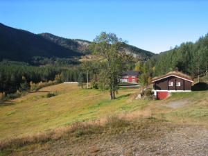 uma casa numa colina num campo relvado em Lie Hytteutleige -Gjestegård - Thor Fine Art 3 hytte enheter em Åmdals Verk