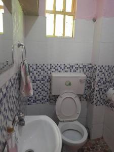 baño pequeño con aseo y ventana en Goldy haven studio apartment Nyeri, en Nyeri