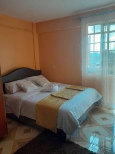 1 dormitorio con cama y ventana en Goldy haven studio apartment Nyeri, en Nyeri