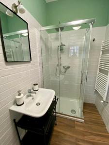 La salle de bains est pourvue d'un lavabo et d'une douche. dans l'établissement La Casetta di Rosie, alla Torre Guevara, à Potenza