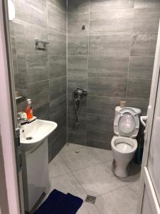 a bathroom with a toilet and a sink at Hotel Nikea in Kutaisi