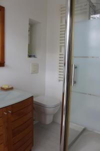 y baño con aseo, lavabo y ducha. en Château de Grandval, en Neuville-au-Plain