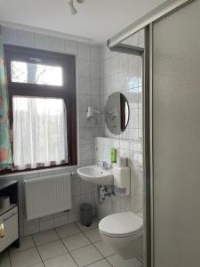 a bathroom with a toilet and a sink at Landgasthof zum SEEHOF in Rottweil