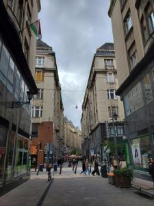 a city street with people walking down the street at Budapest Walking Street-V in Budapest