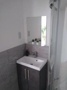 a bathroom with a sink and a mirror at Lime Tree Garden in Twickenham